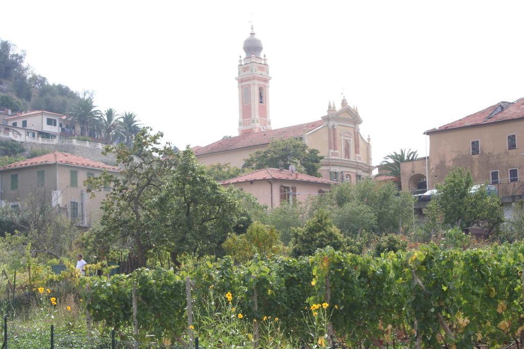 Villa Agriturismo La Vigna Chiusanico Exterior foto