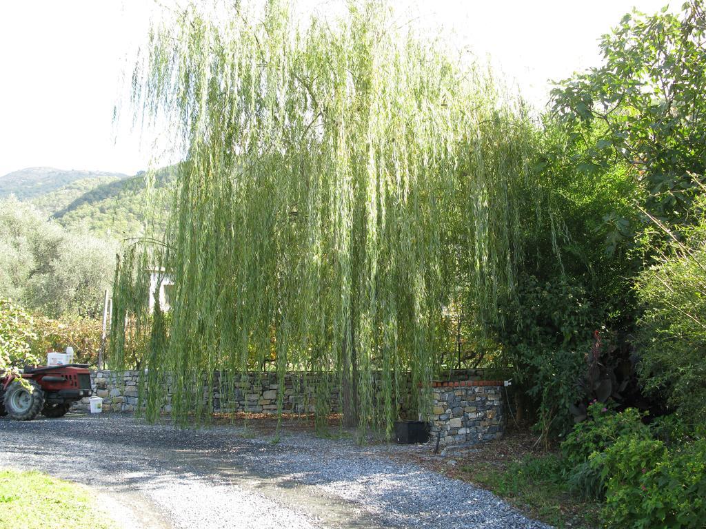 Villa Agriturismo La Vigna Chiusanico Exterior foto