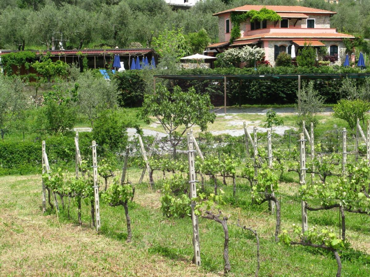 Villa Agriturismo La Vigna Chiusanico Exterior foto